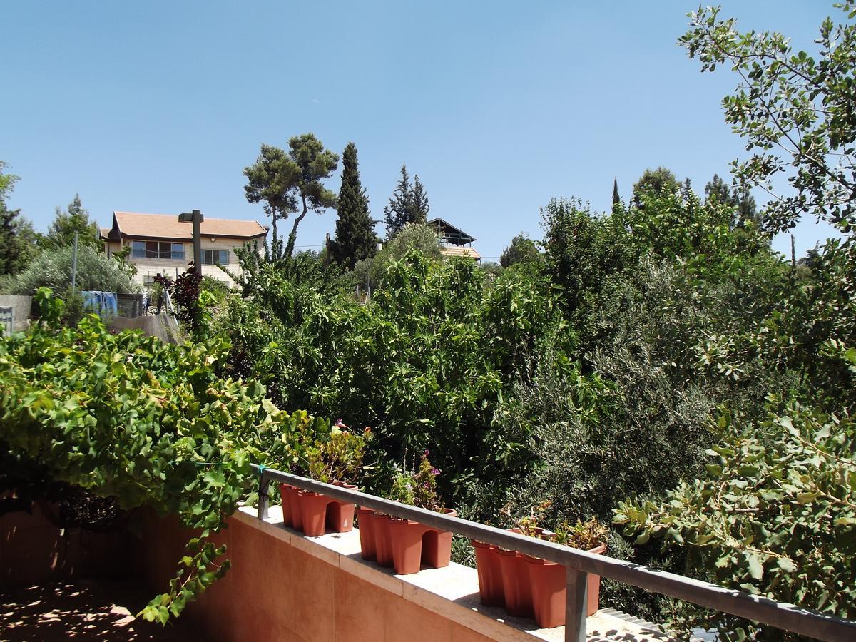 Sweet Home In Jerusalem Mountains Tzur Hadassah Esterno foto