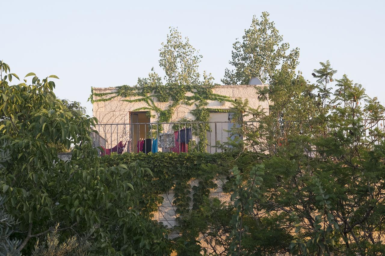 Sweet Home In Jerusalem Mountains Tzur Hadassah Esterno foto