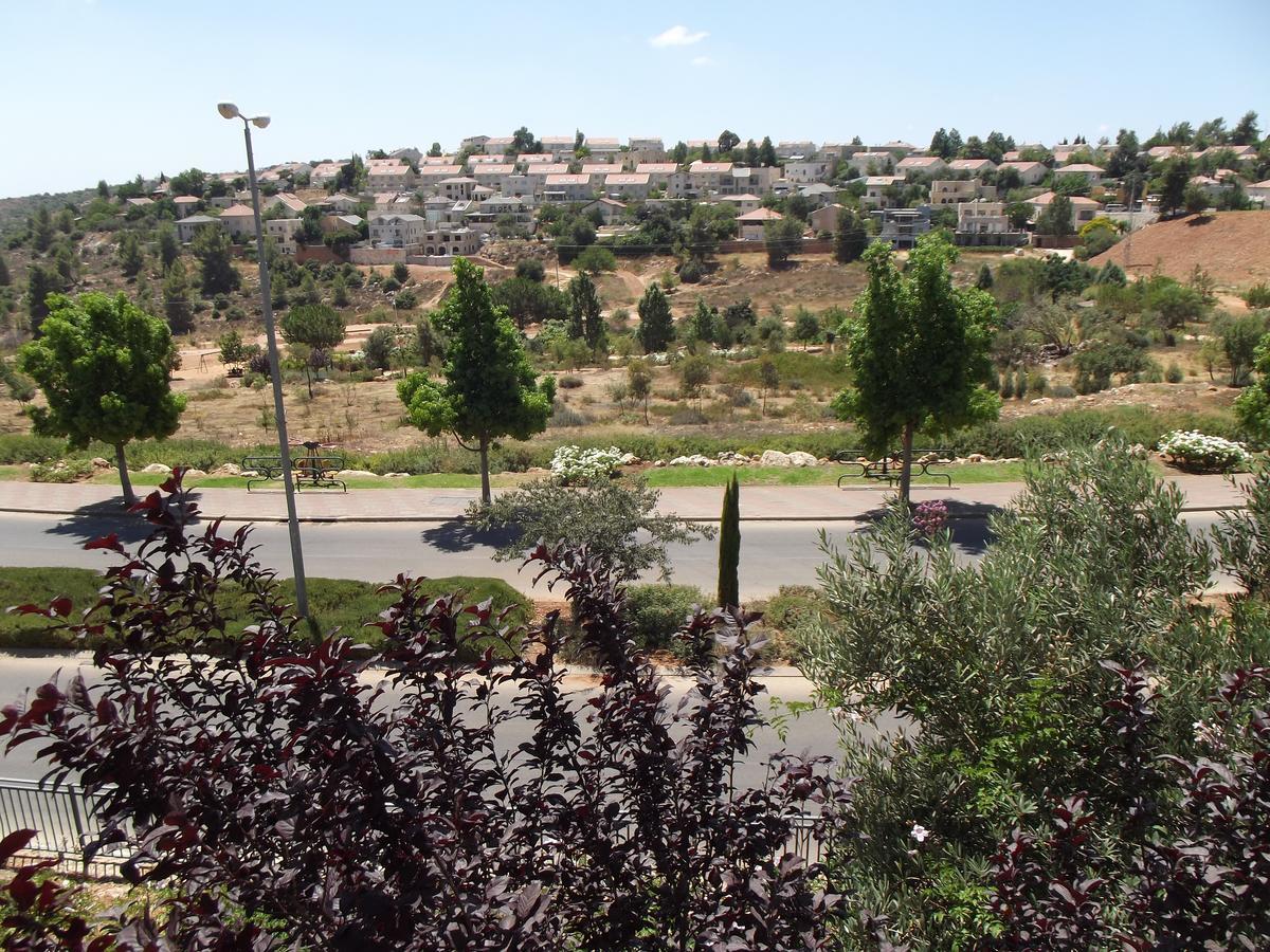 Sweet Home In Jerusalem Mountains Tzur Hadassah Esterno foto